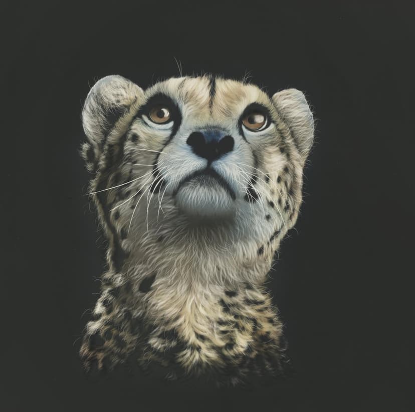 Young cheetah cub with large amber eyes and spotted fur looks upward against a dark, shadowy background.