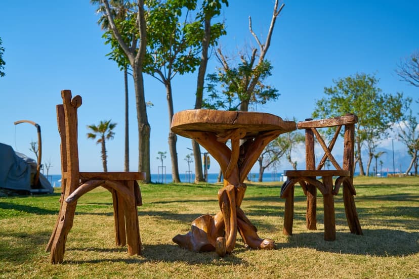 Rustic wooden table and chairs sit on a green park lawn under a blue sky with palm trees and a distant ocean view.
