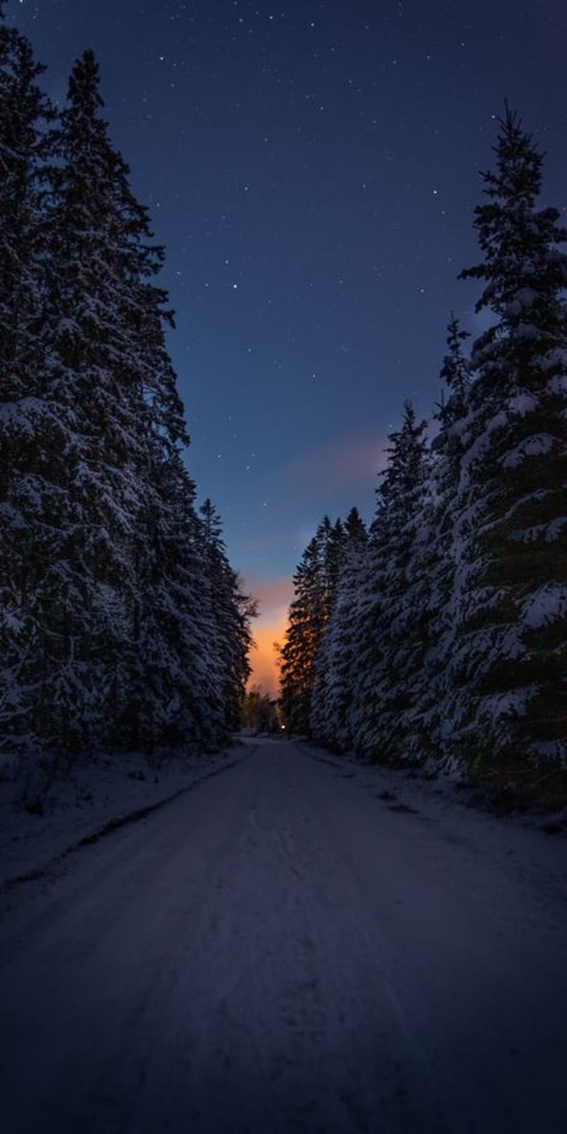 Snow-covered road through pine trees leading to a glowing horizon under a dense field of twinkling night stars.