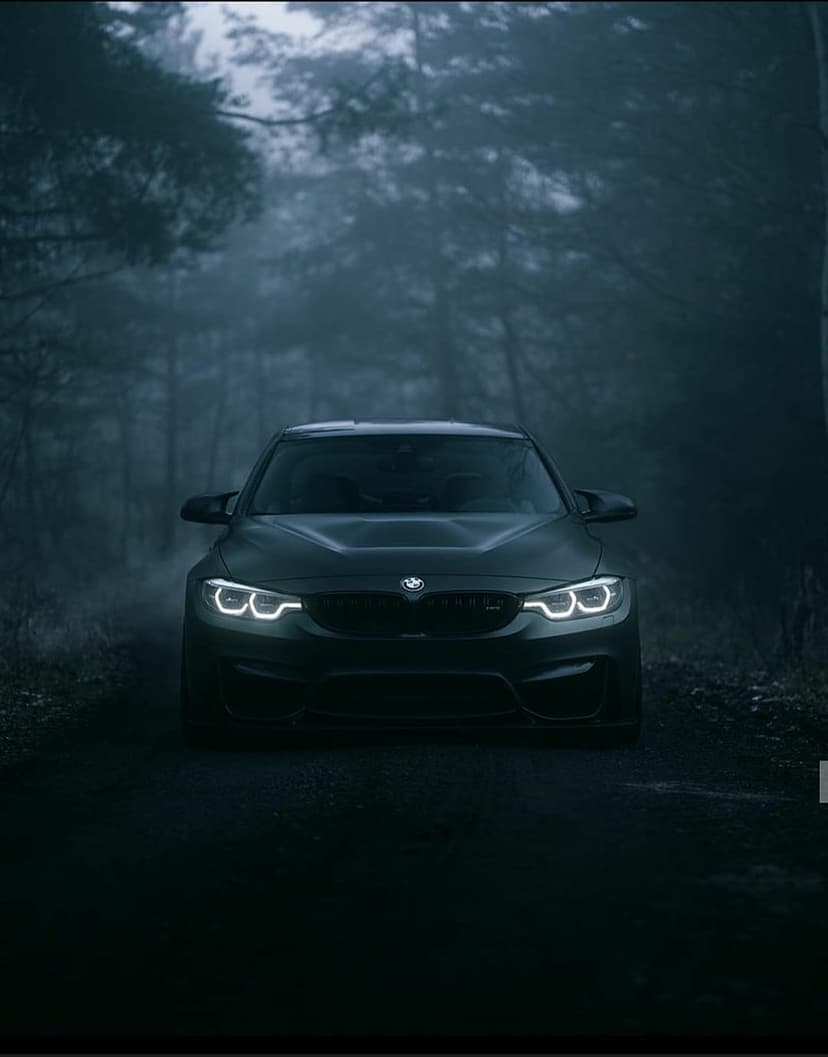 BMW M4 headlights shine through thick fog on a dark forest road, casting a white glow on misty pine trees.
