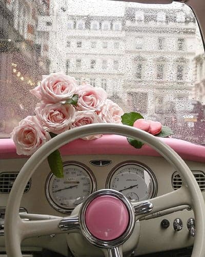 Pink Roses in Car on Rainy Day with City View