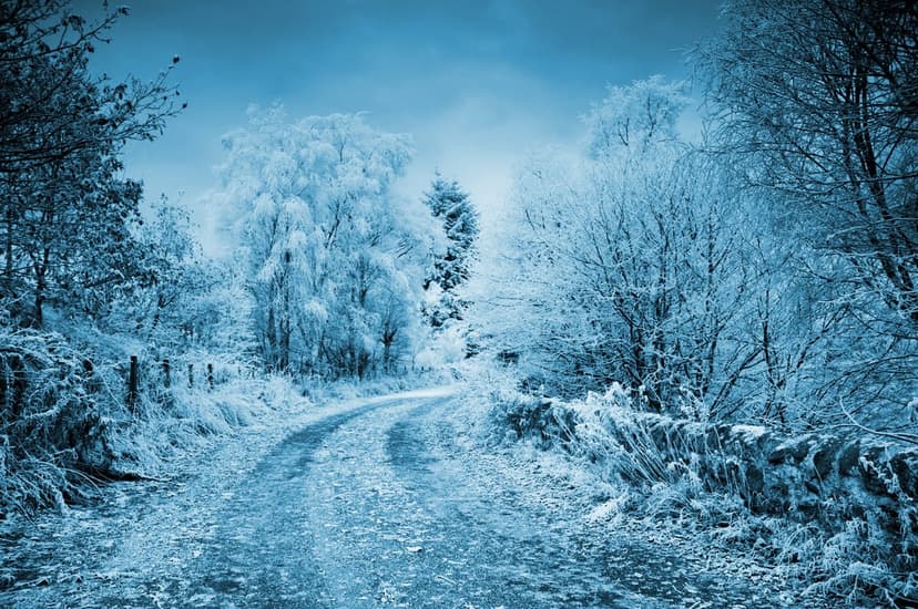 Winding dirt path covered in frost and dead leaves next to a stone wall in a snow-covered blue forest.