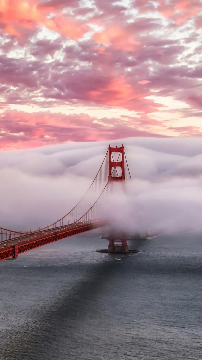 Red Golden Gate Bridge towers pierce through dense pink mist over dark water during a purple sunset.