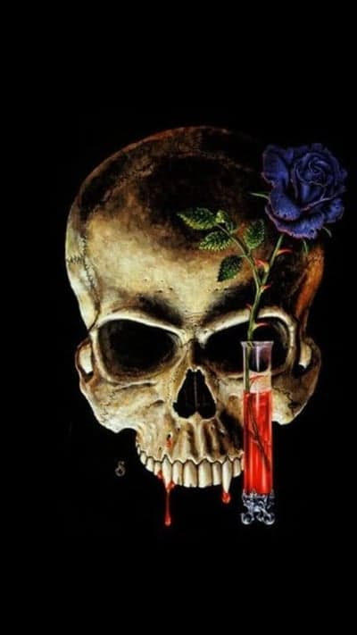 Macabre Gothic Skull and Blue Rose Phone Wallpaper