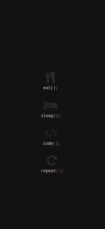 The Developer's Cycle - Eat, Sleep, Code, Repeat
