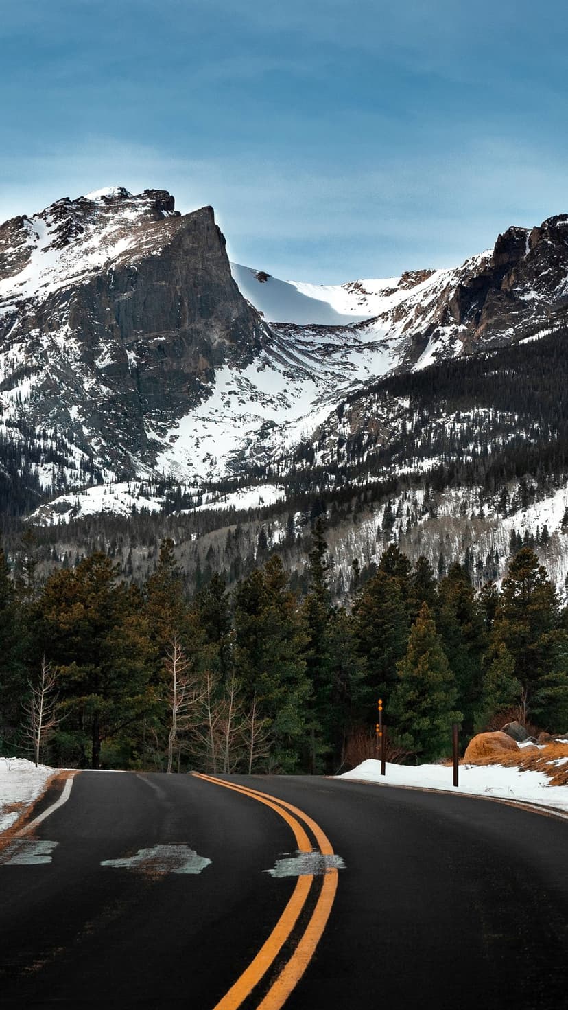 Winding asphalt road with yellow lines leading toward snow-capped mountains and pine forests under a blue sky.