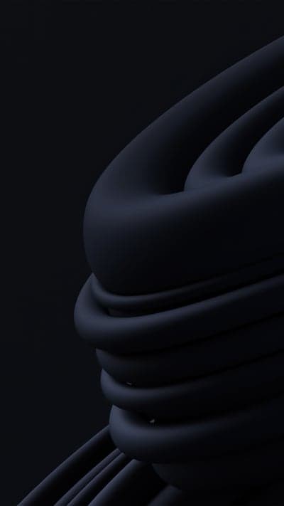 Dark Abstract Sculpture with Organic Curves