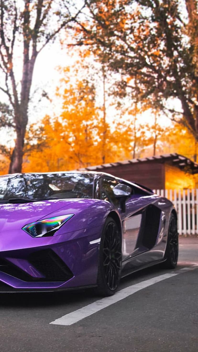 Purple Lamborghini Aventador parked on asphalt surrounded by orange autumn leaves and a white picket fence.