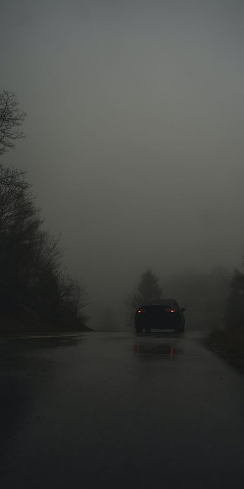 Red taillights of a car driving on a wet road into thick white fog flanked by dark silhouettes of trees.