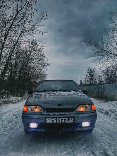 Car in Snowstorm on Snowy Road with Bare Trees