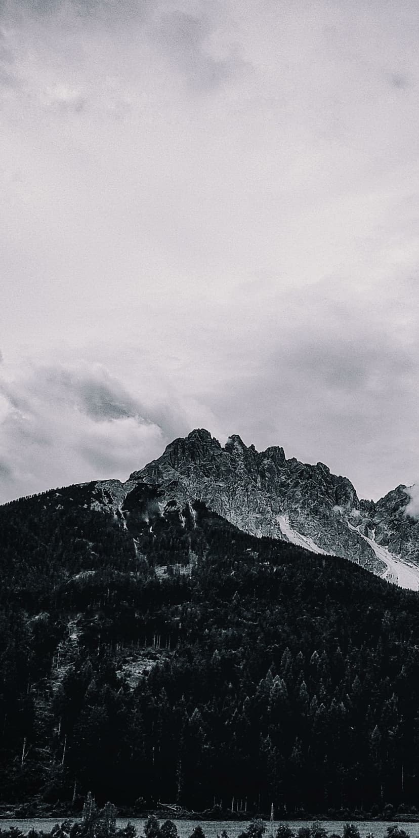 Jagged mountain peaks with patches of snow rise above a dense forest under a cloudy, overcast grayscale sky.