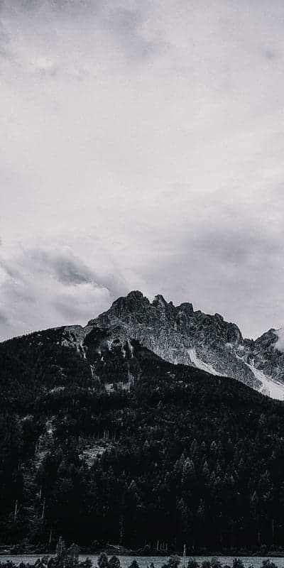 Alpine Giants in Grayscale