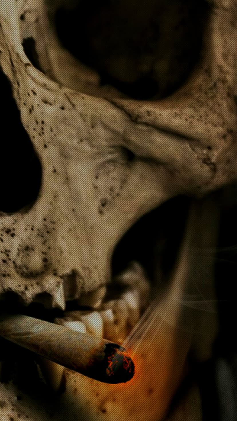 Human skull clenching a lit cigarette with a bright orange glowing ember and wisps of smoke in the dark.