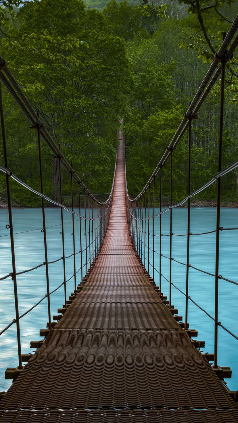 Suspension bridge spans a turquoise river surrounded by dense green forest foliage and a narrow wooden walkway.