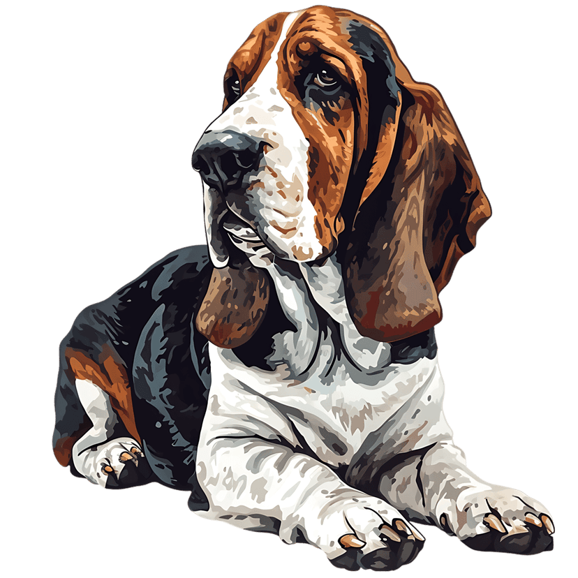 Basset hound illustration shows a tri-color dog lying down with long ears and facial wrinkles on black background.