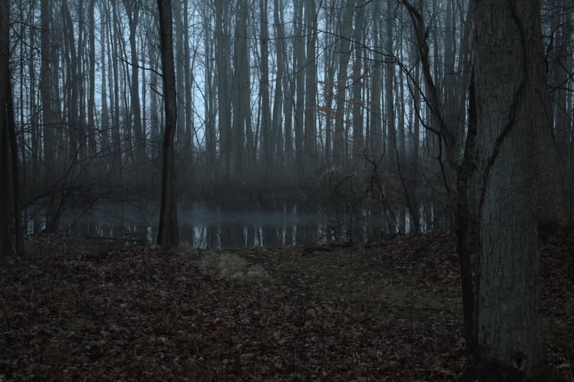 Bare forest trees and fallen leaves reflect in a calm pond amidst dense gray fog under a dim twilight sky.