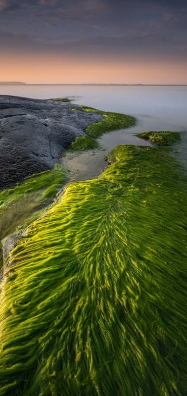 Emerald Shores- A Coastal Symphony