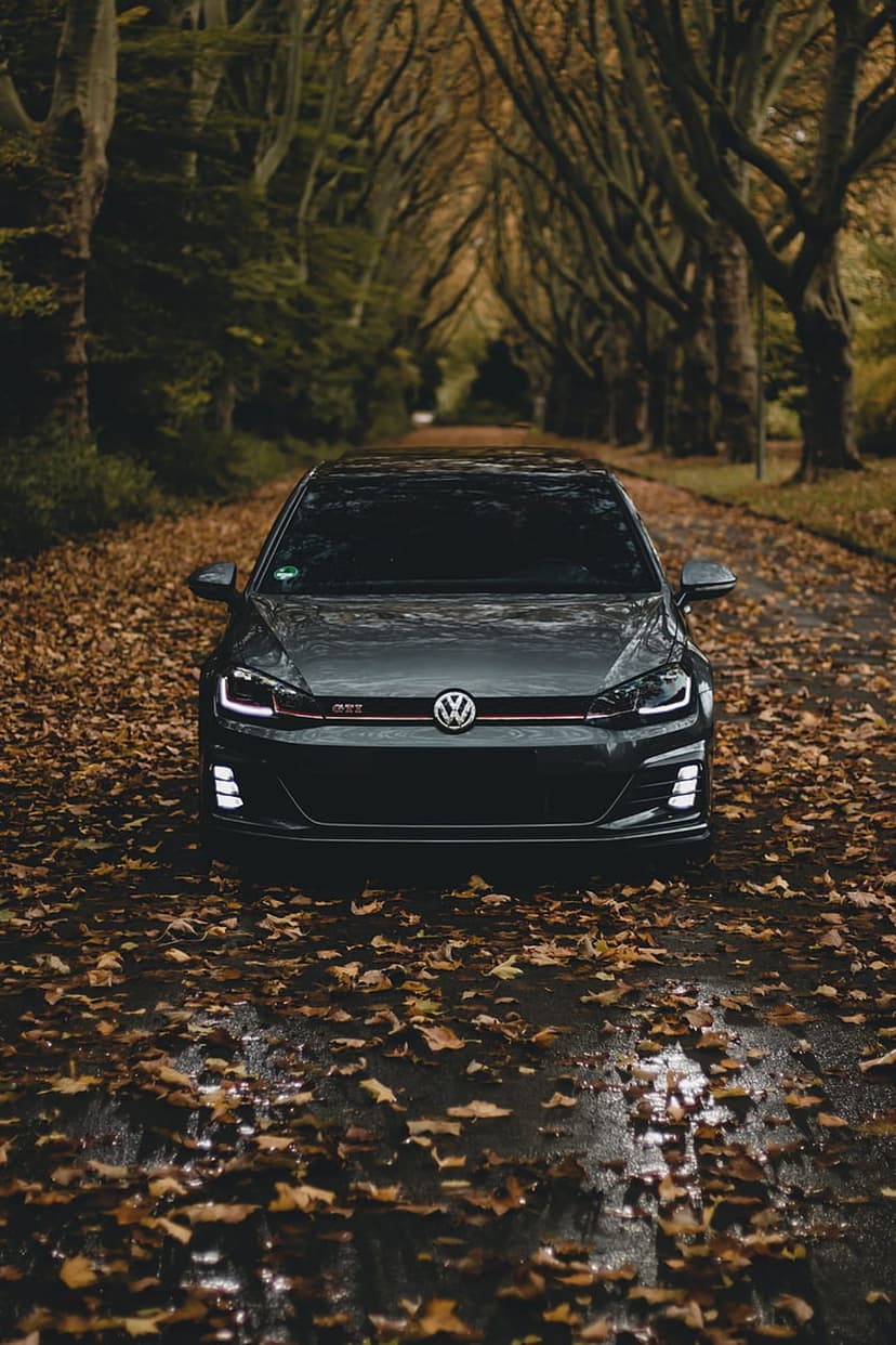 Volkswagen GTI with bright headlights on a wet road covered in autumn leaves under a canopy of bare trees.