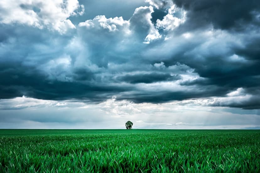 Lone tree in a bright green pasture under a heavy, dark gray sky with swirling storm clouds and a distant horizon.