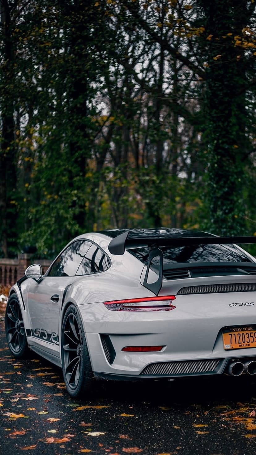 Porsche GT3 RS rear wing and exhaust on wet asphalt covered in orange maple leaves during a foggy autumn day.
