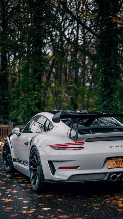 Porsche GT3 RS rear view with fall leaves on pavement