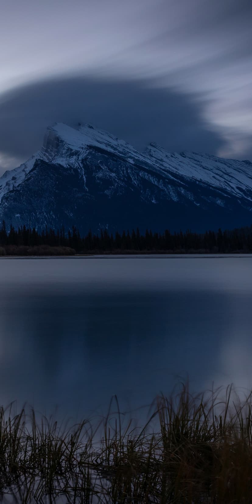 Mount Rundle reflects in the calm waters of Vermilion Lakes with aquatic grasses in the snowy mountain foreground.
