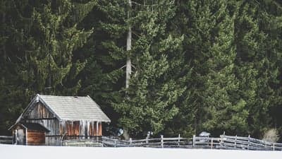 Rustic cabin in snowy forest with wooden fence