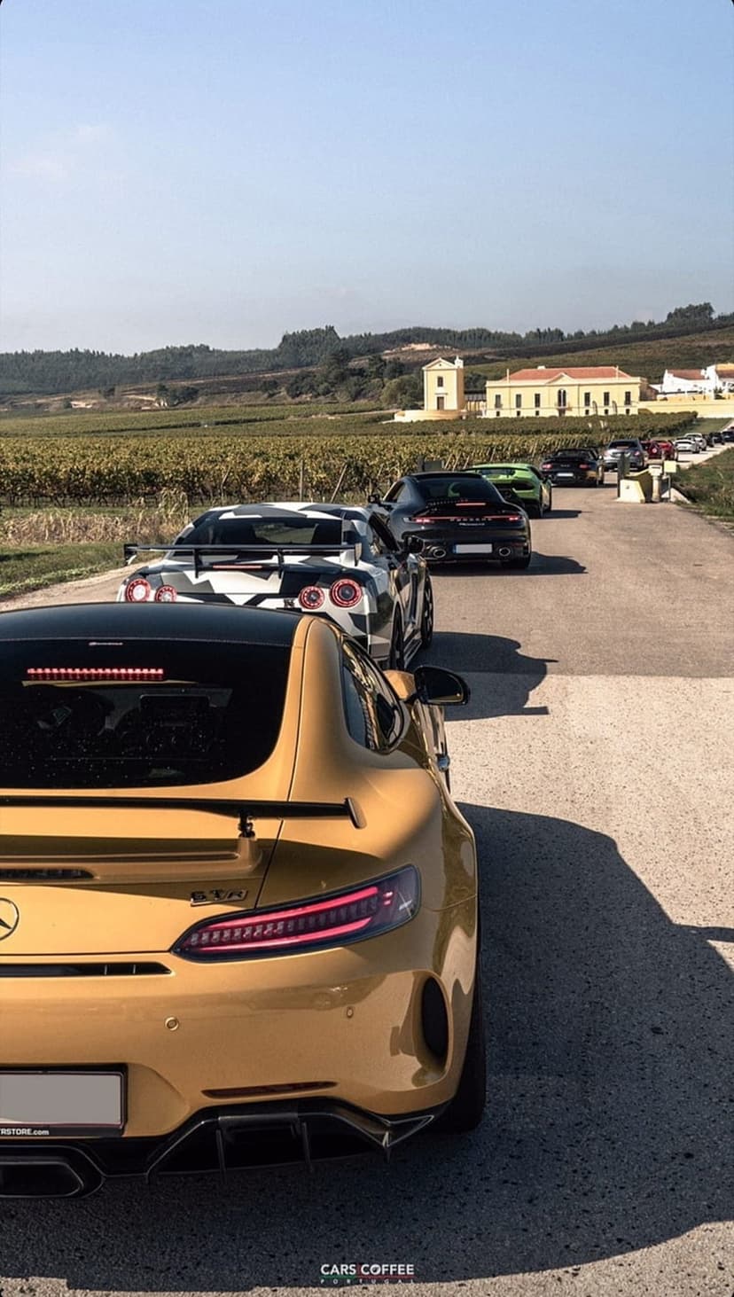 Gold Mercedes-AMG GT and camouflaged Nissan GT-R drive past a vineyard with European villas in the background.