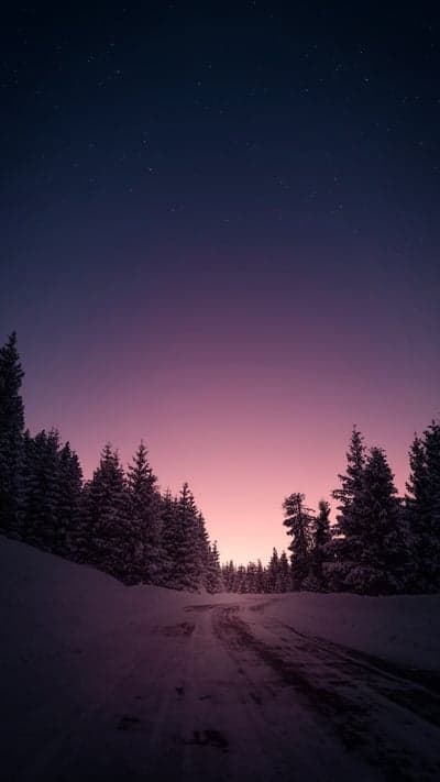 Snowy forest road at dusk with starry night sky