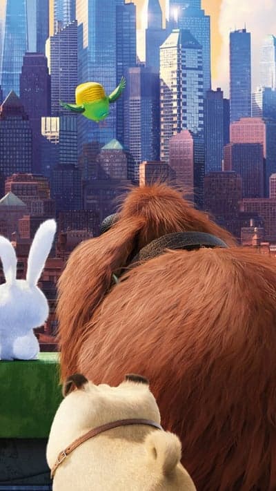 Animated Pets in Cityscape