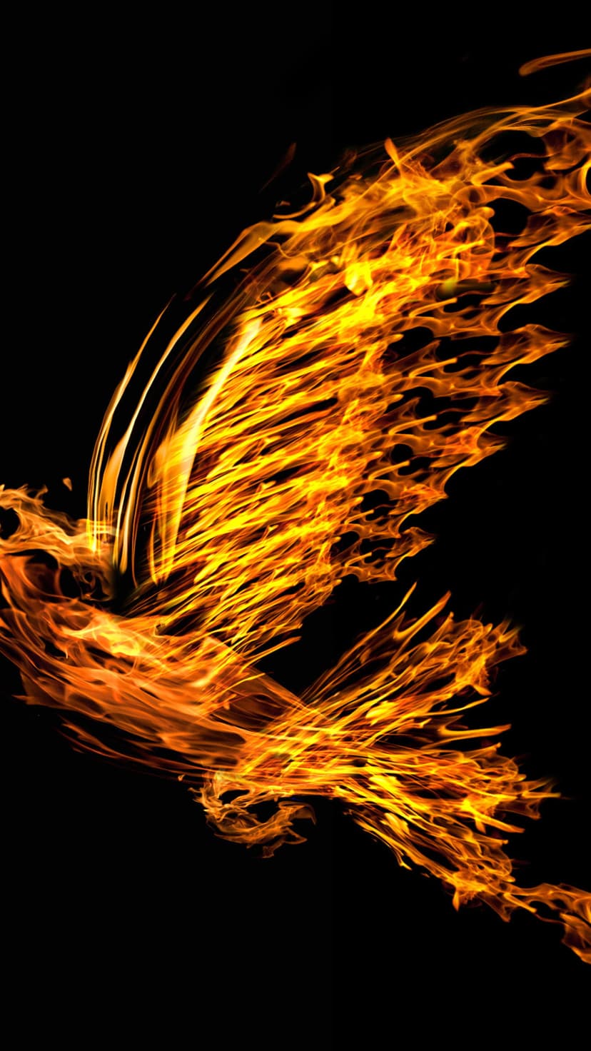 Phoenix silhouette formed by bright orange and yellow flames with wide wings against a solid black background.