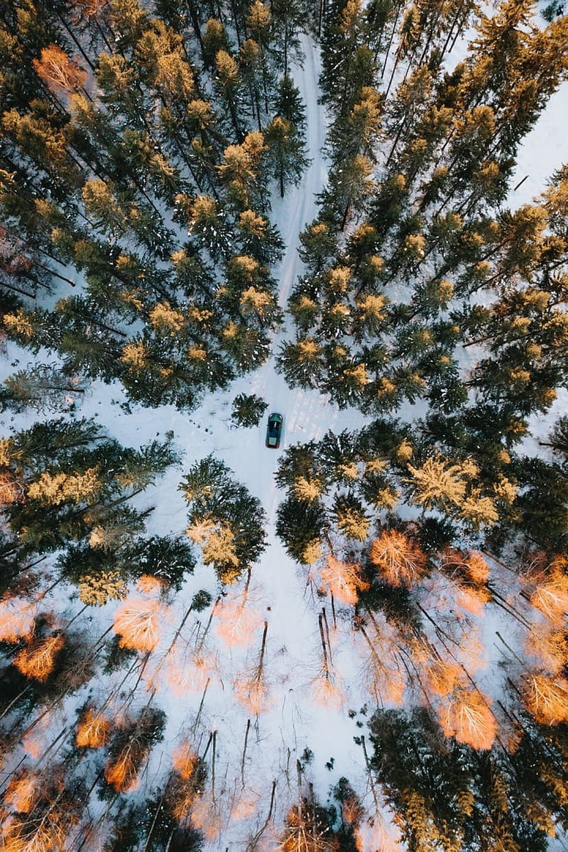 Dark car driving on a narrow snowy path through a dense evergreen forest with golden sunlight hitting the trees.