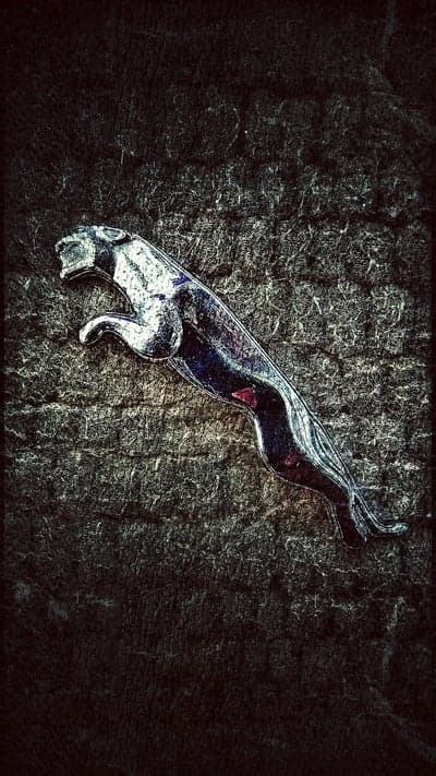Polished Chrome Jaguar Leaping Emblem Phone Wallpaper