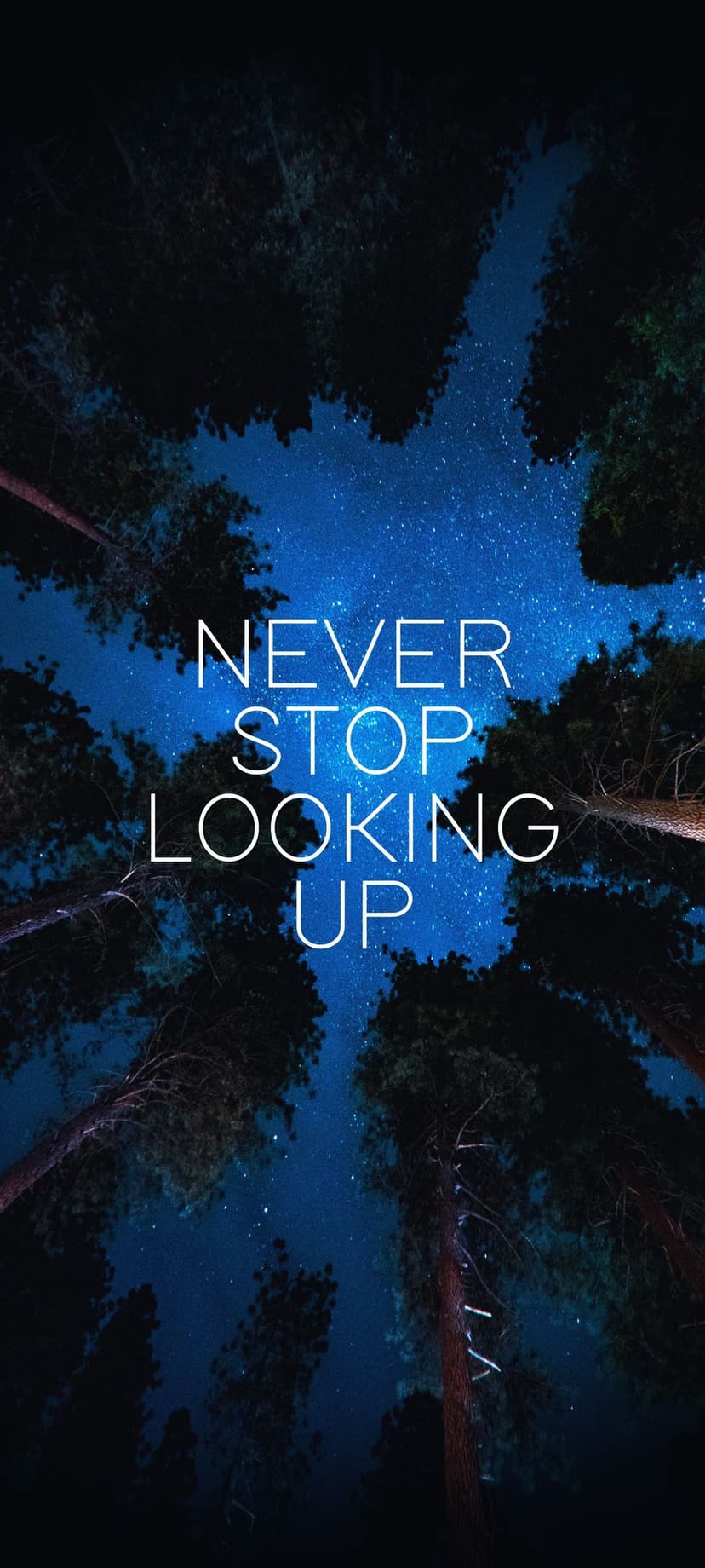 Pine tree silhouettes reach toward a starry night sky with the quote Never Stop Looking Up in white text.