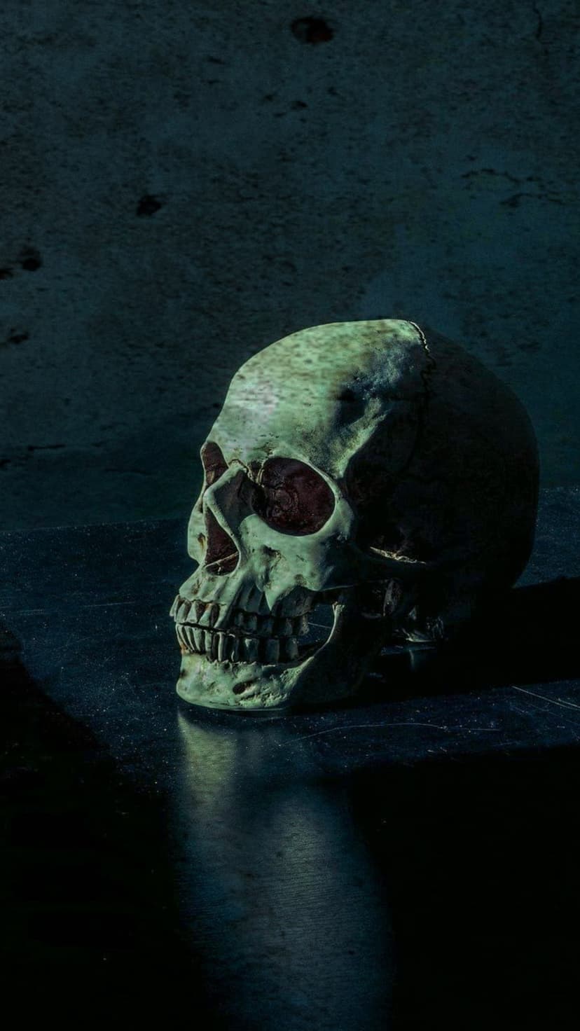 Human skull illuminated by a single spotlight on a reflective surface against a dark blue textured background.