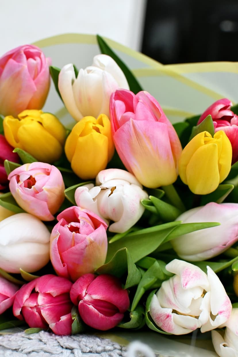 Pink, yellow, and white tulips with green leaves in a close-up bouquet captured under soft natural lighting.