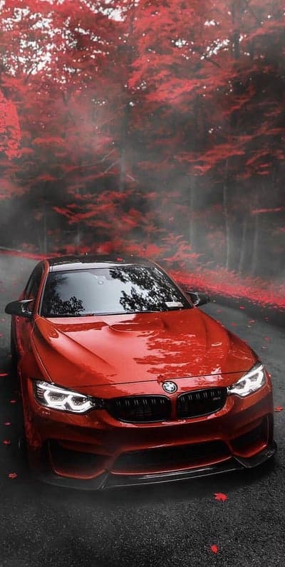 Red BMW M4 Forest Road Autumn Mist Mobile Wallpaper