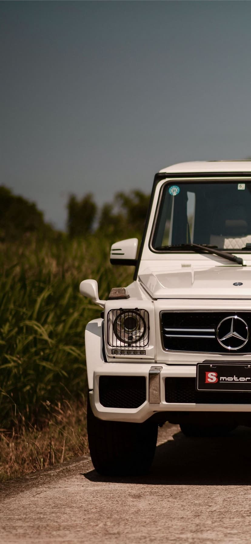 White Mercedes G-Class parked by a tall grass field under a clear sky in a vertical composition.