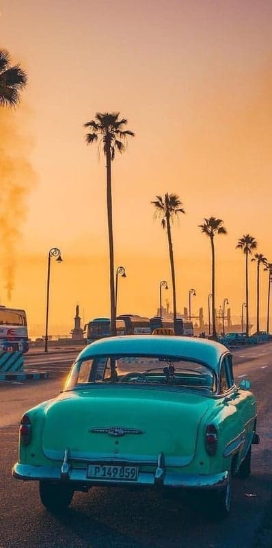 Retro Teal Automobile Palm Tree Sunset Phone Background