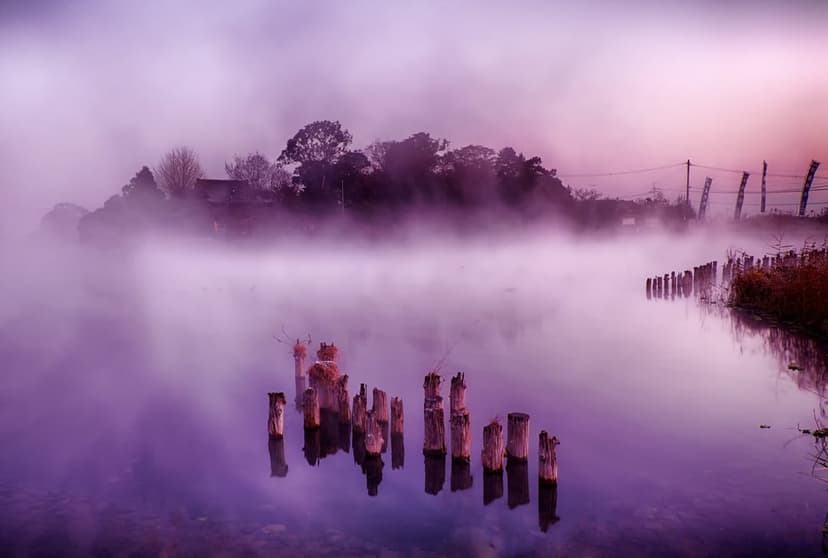 Weathered wooden posts emerge from a calm purple lake shrouded in morning fog with distant tree silhouettes.