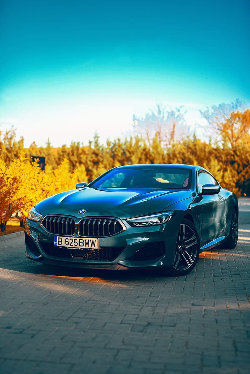 Dark green BMW 8 Series coupe parked on a brick driveway surrounded by vibrant yellow and orange fall foliage.