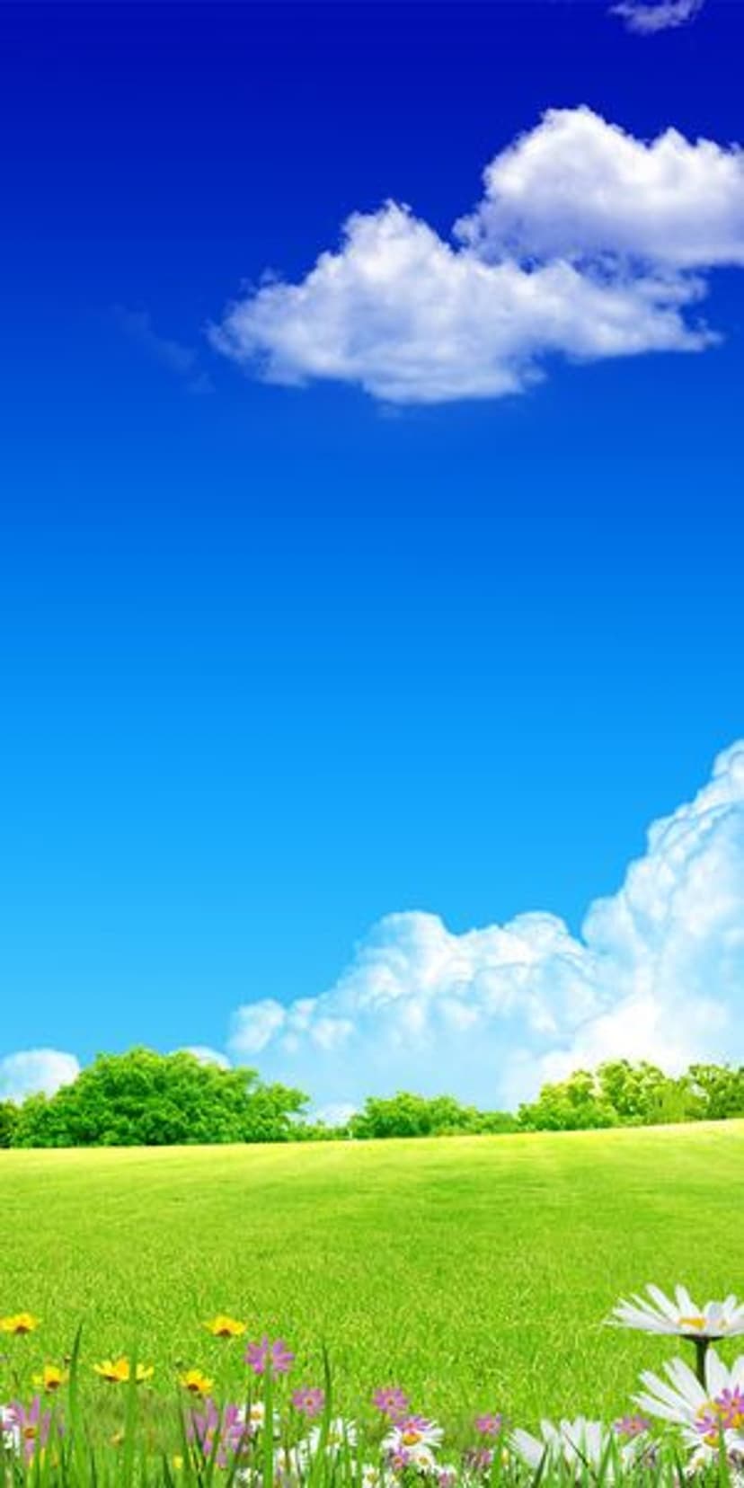 Yellow and pink wildflowers grow in a green field under a blue sky with white clouds in a bright summer landscape.