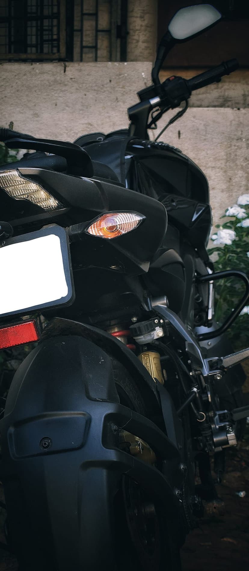 Rear tail light and amber turn signal of a black motorcycle positioned against a concrete wall and green leaves.