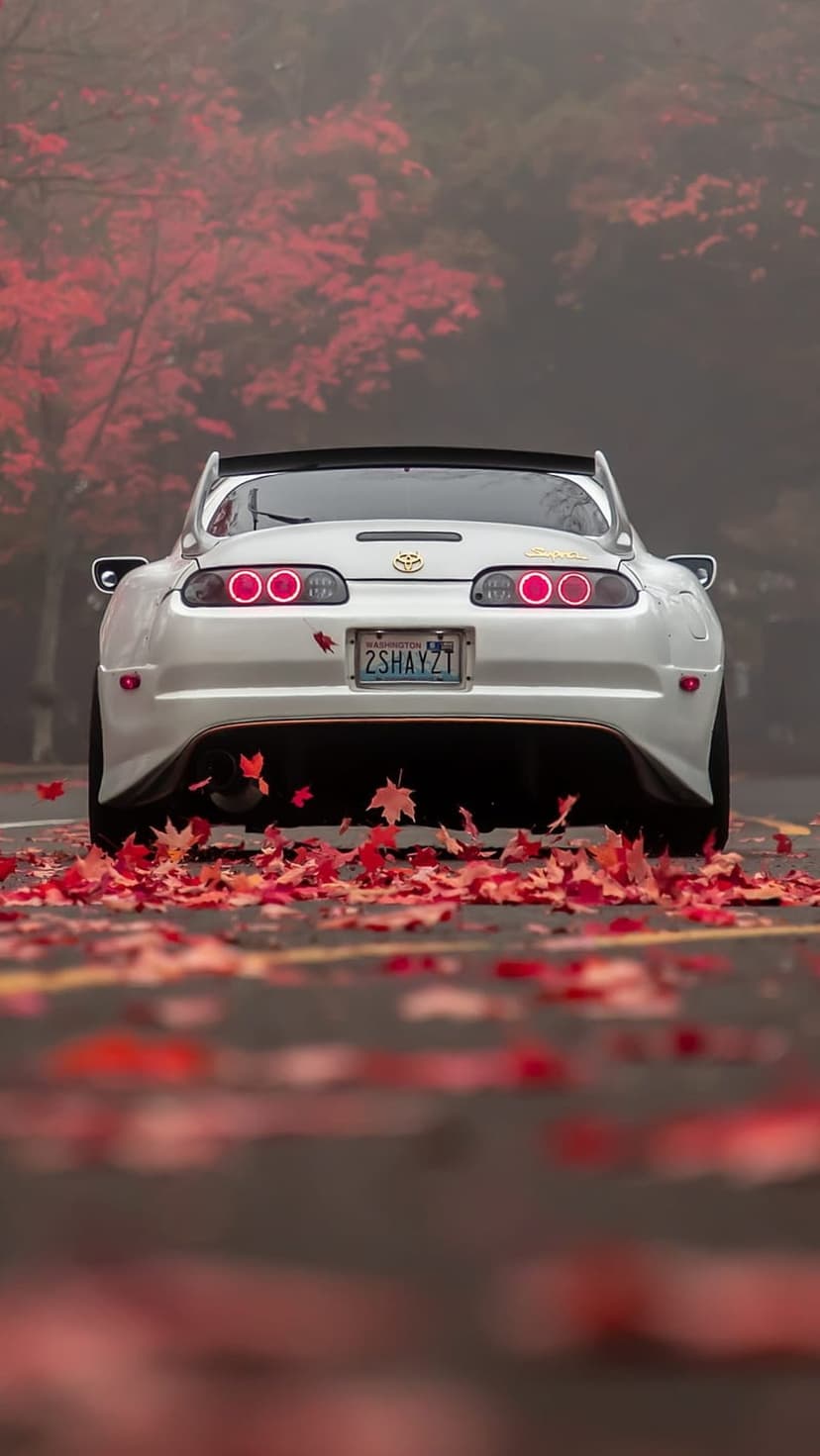 White Toyota Supra rear with glowing pink-red taillights parked on orange autumn leaves in a misty forest.