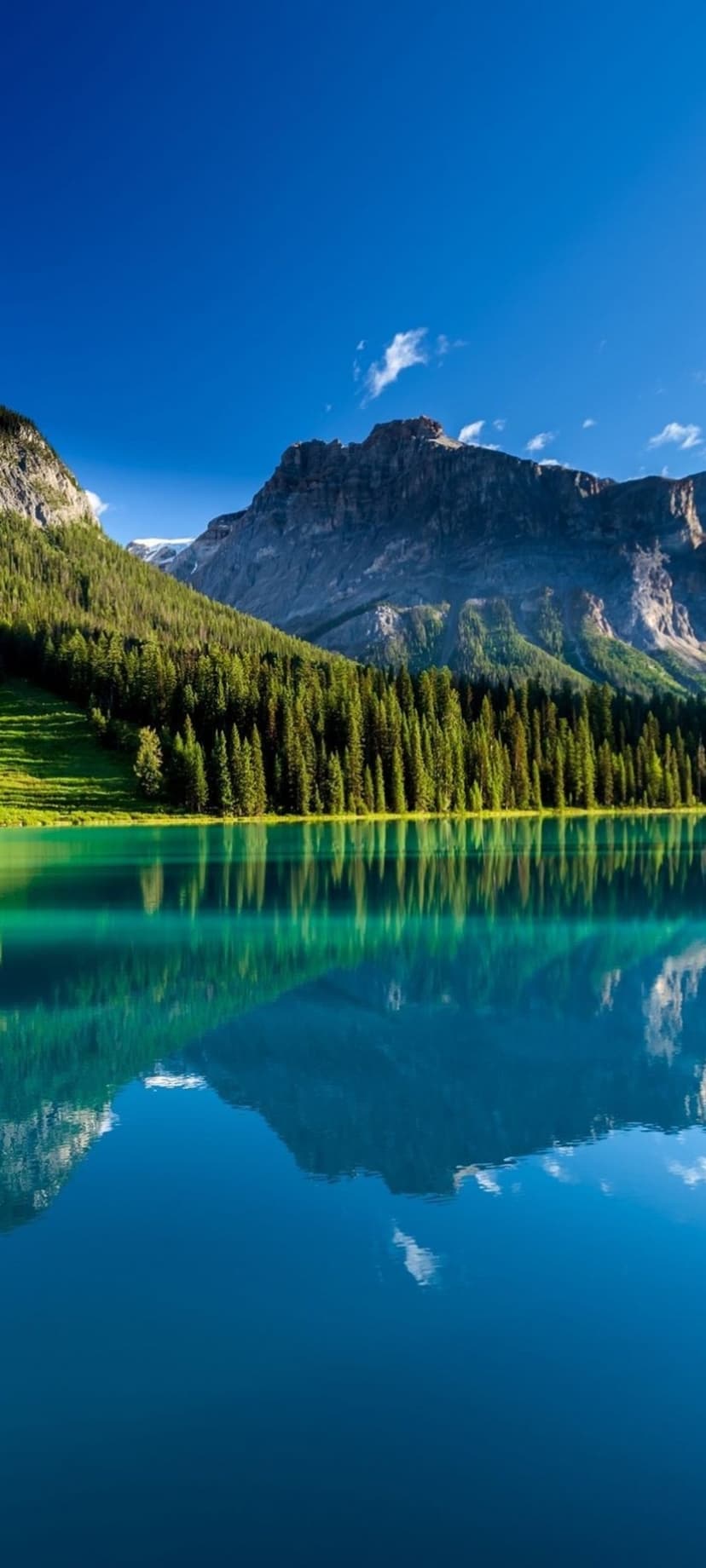 Turquoise alpine lake reflects snow-capped mountains and a dense evergreen forest under a soft blue sky.