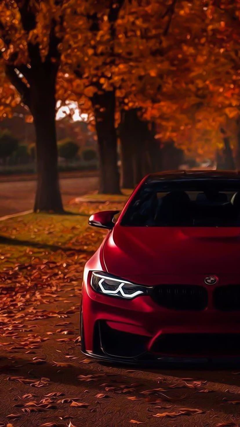 Red BMW M4 sports car parked on a forest road covered in orange and yellow autumn leaves during the fall season.