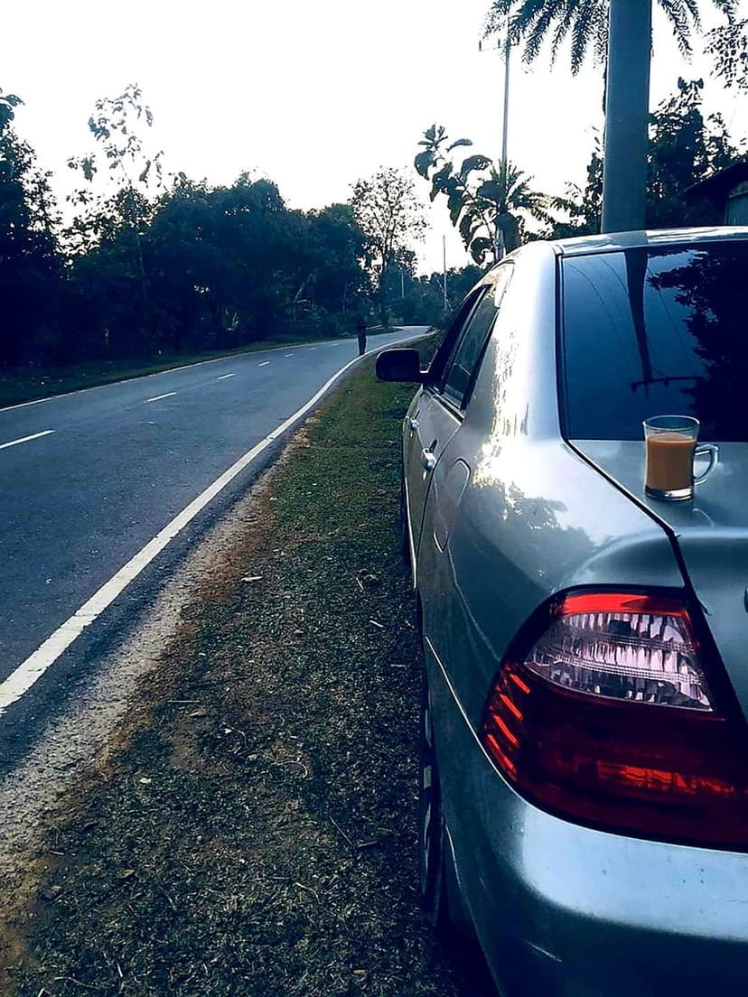 Silver sedan parked by a tree-lined road with a glass of tea on the trunk during a peaceful rural car journey.