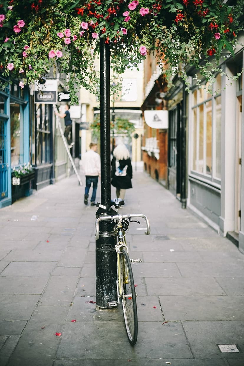 Vintage bicycle by a lamppost covered in pink flowers on a cobblestone street with soft sunlight filtering in.
