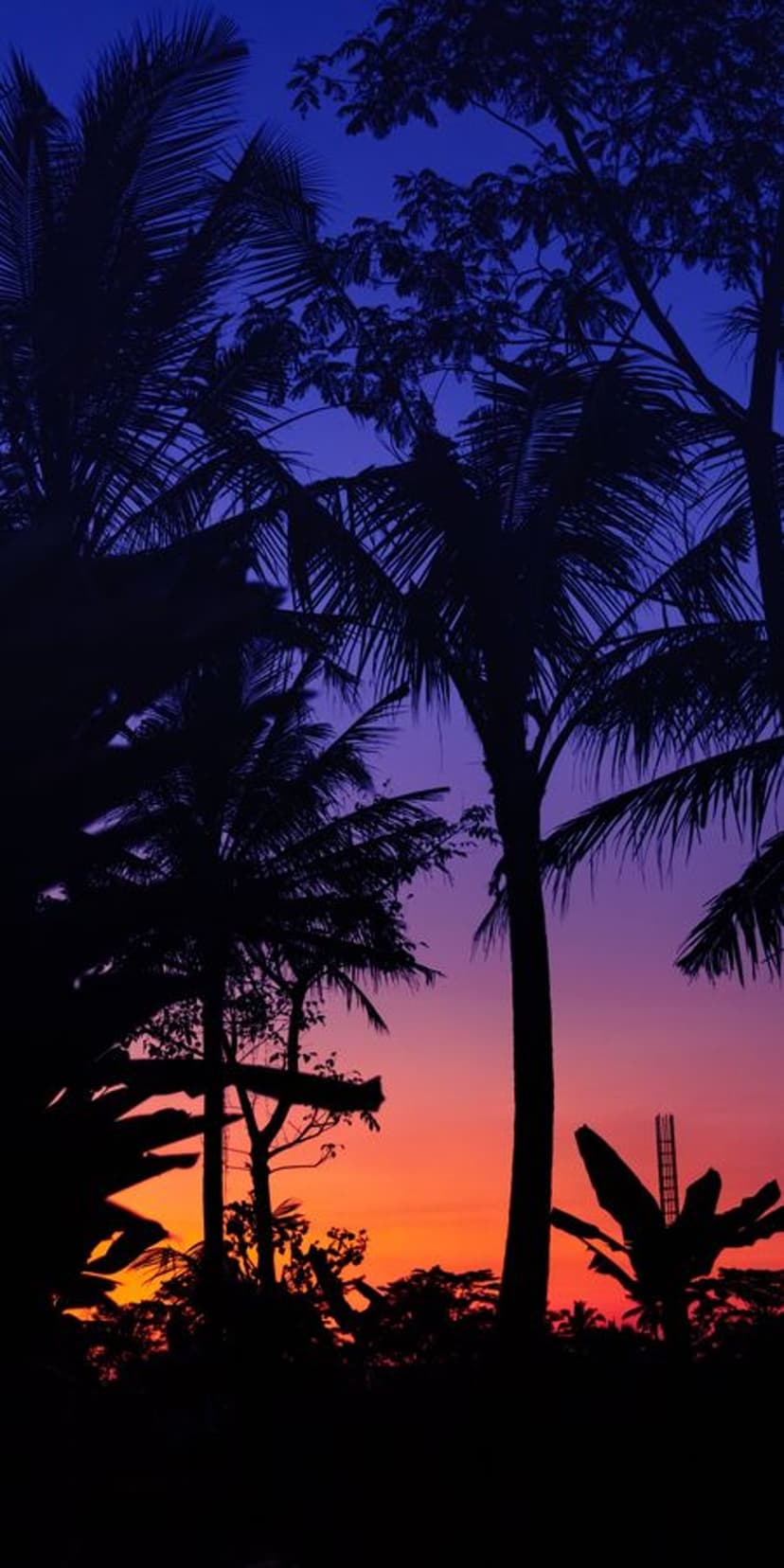 Palm tree silhouettes stand against a vibrant purple and orange sunset sky on a calm tropical island evening.