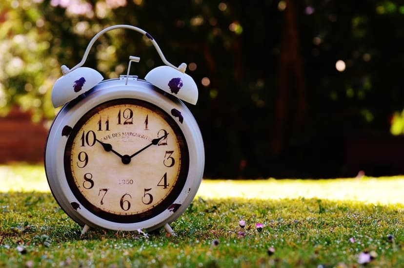 Antique twin-bell alarm clock resting on a green lawn with sunlight glowing through soft blurred trees behind it.